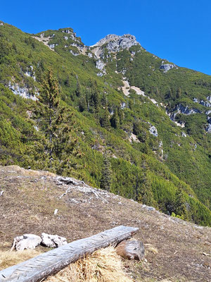 Blick zum Gipfel vom Rastplatz auf dem Predigtstuhl