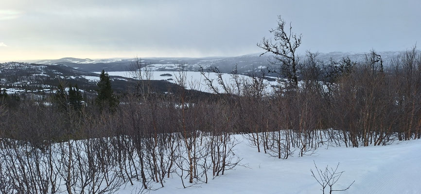 Blick von der grünen Loipe 1 ins Tal