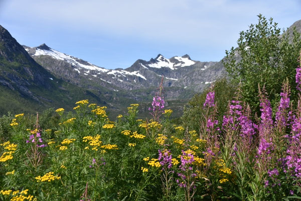 Start der Wanderung an der Gyllesfjordkryss