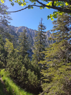 Blick zum Oberen Rißkopf