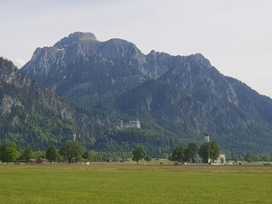 Säuling mit Neuschwanstein