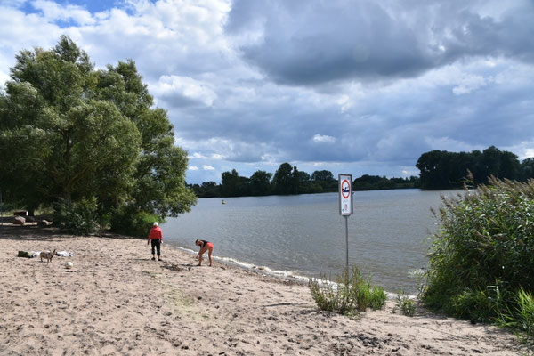 Strand an der Süderelbe bei Finkenriek.