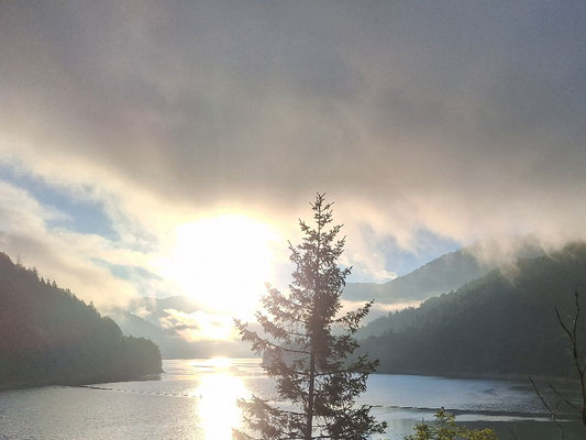 Sonne und Nebel am Sylvensteinsee