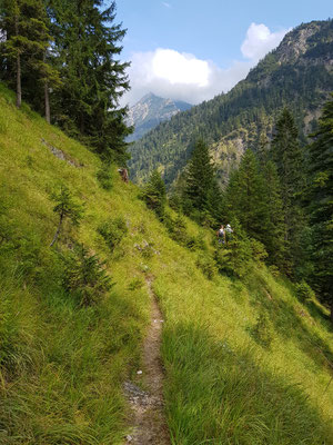 Im Kuchelbachtal, Blick talaus
