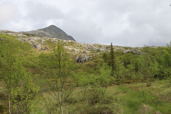 Hochmmor