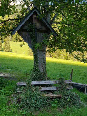 Am Beginn des Wanderweges
