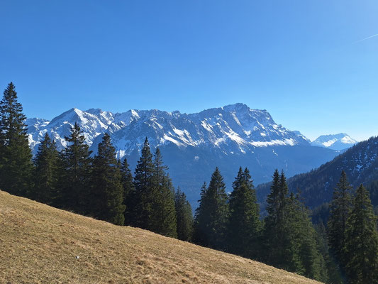 Stepbergalm