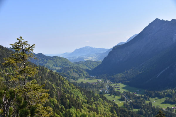 Blick zum Grünten