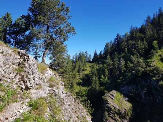 Am Gegenhang ist die Jagdhütte noch zu sehen