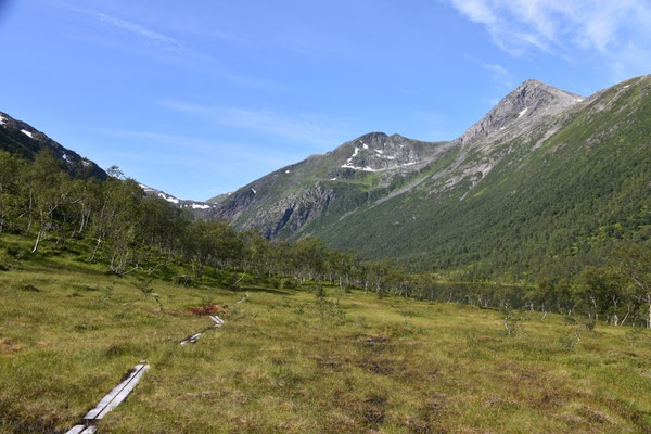 Løbergdalen