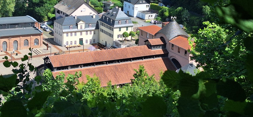 Hütte Sayn (historische Eisenhütte)