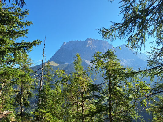Blick von der Coburger Bank