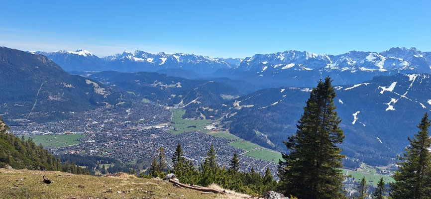 Aussicht vom Predigtstuhl