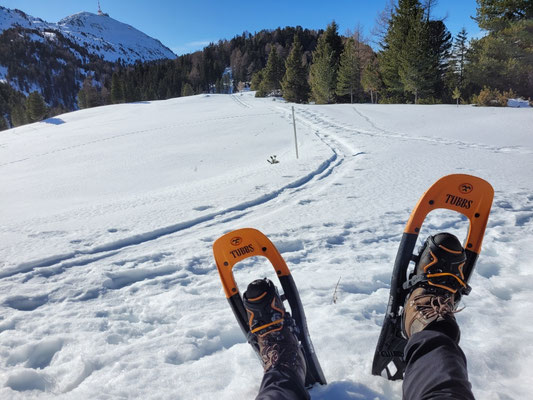 Rast auf dem Issboden