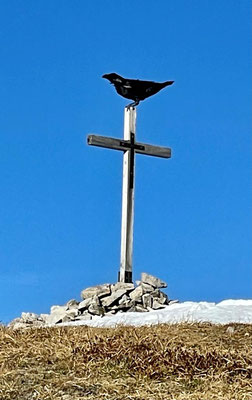 Neues Gipfelkreuz des Frieder