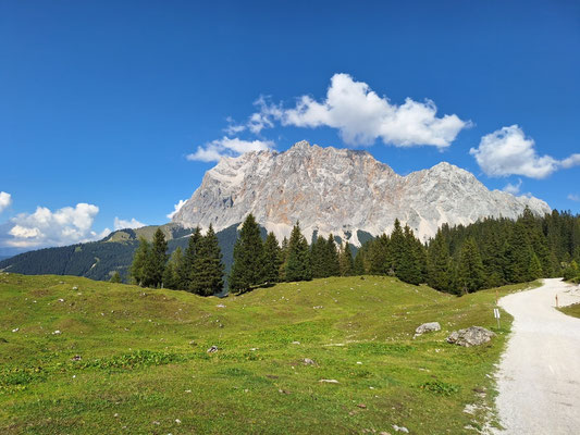 Seebenalm gegen Wetterstein