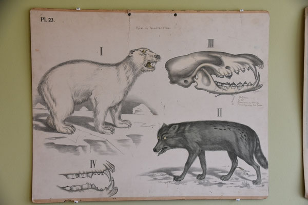 In der alten Schule von Vindstad