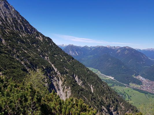 In der Ferne der Daniel