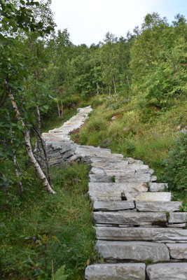 Die neue Steintreppe zum Reinebringen Aussichtspunkt.