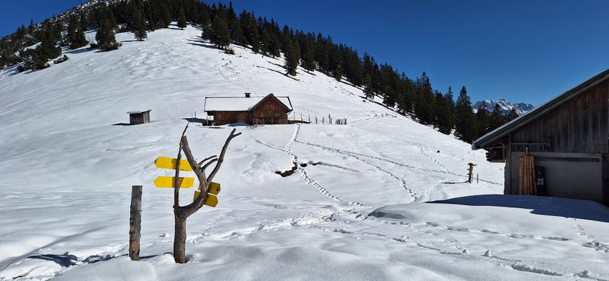 Stepbergalm 