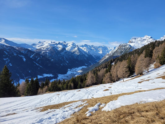 Almwiesen über dem Gschnitztal