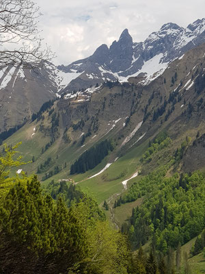 Trettachspitze und Petersalpe