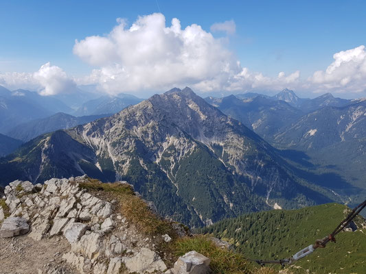 Geierköpfe und Säuling