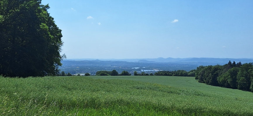 Weiter Blick vorwärts