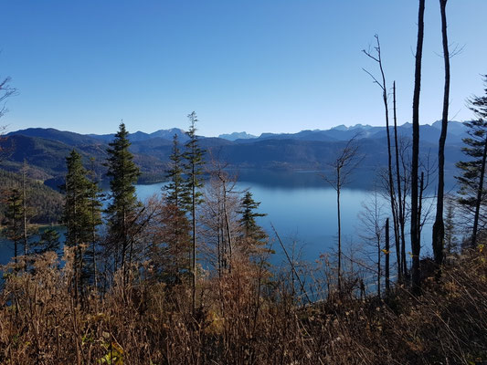 Walchensee