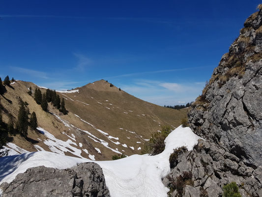Seekarkreuz