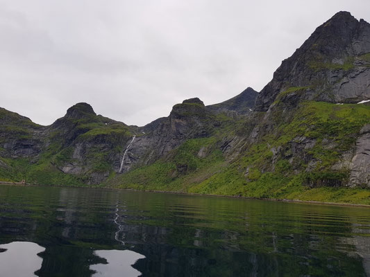 Forsfjord