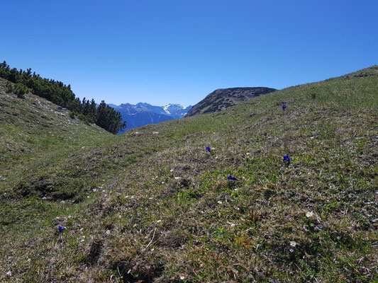 Am Ende des Martinisteig, Blick zum Karwendel