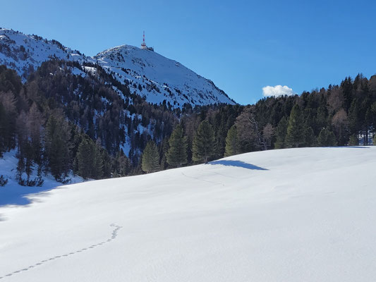 Blick über den Issboden zum Patscherkofel