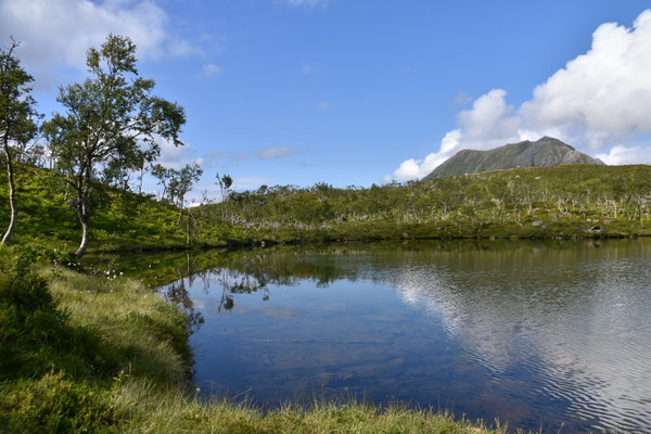Seelein auf 260m