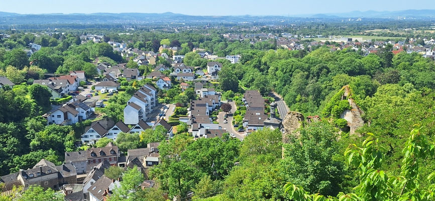 Blick von der Burg Sayn