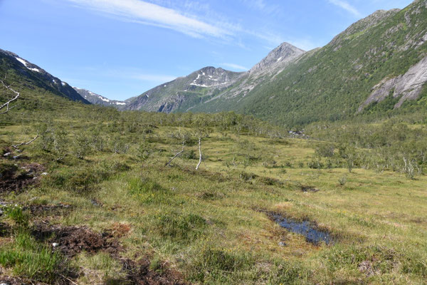 Løbergdalen