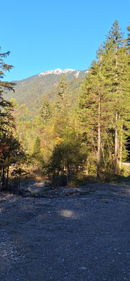 Schellkopf