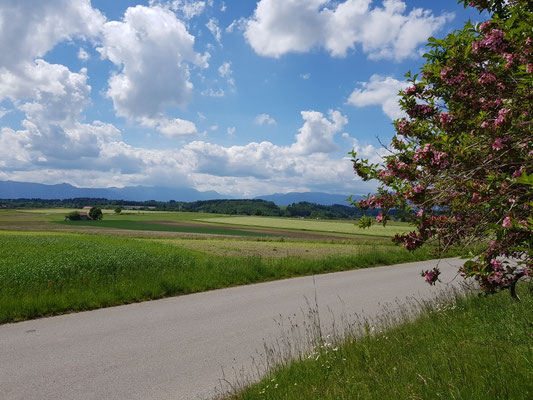 Blick nach Süden