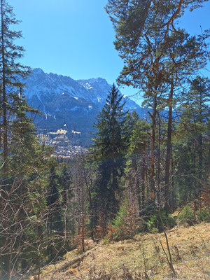 Zugspitze 