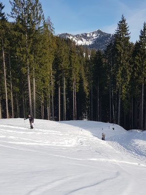 Brecherspitze