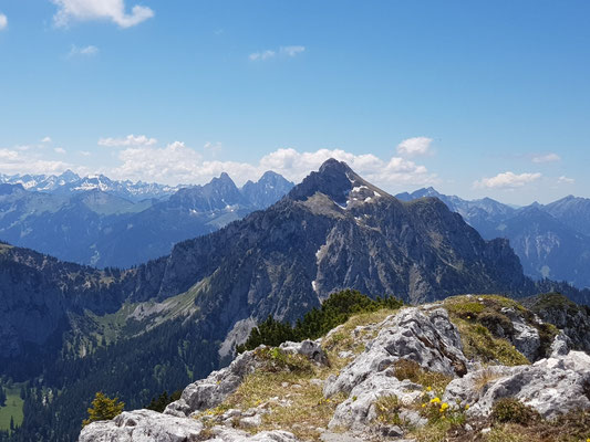 Blick zum Säuling