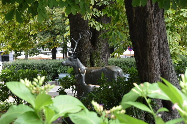 Wild im Osloer Stadtzentrum