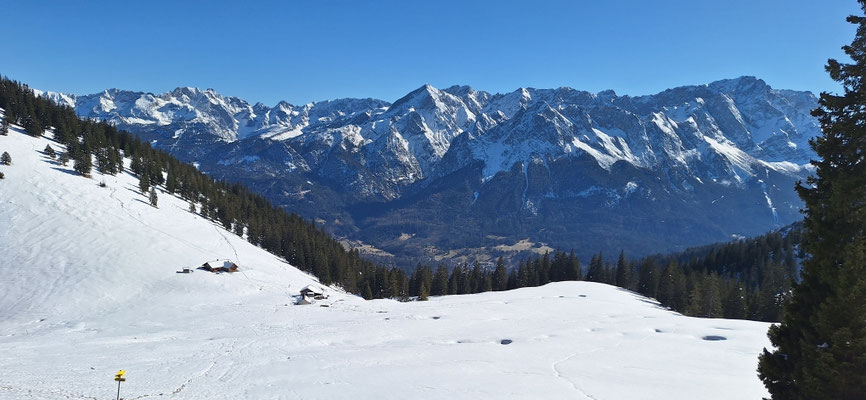 Blick vom Waldrand