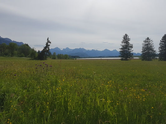 Bannwaldsee