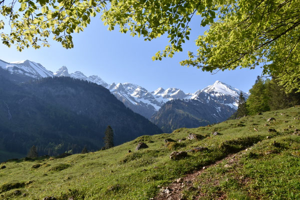 Trettachspitze bis Linkerskopf