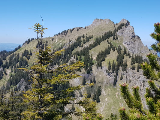 Brandnerschrofen von der Ahornspitze gesehen