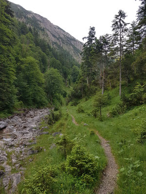 Weg im Krottenbachtal