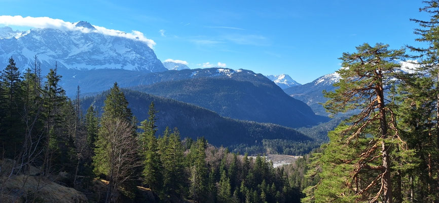 Zugspitze vom Reitweg, 1200m