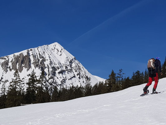 Krottenkopf von der Krüner Alm