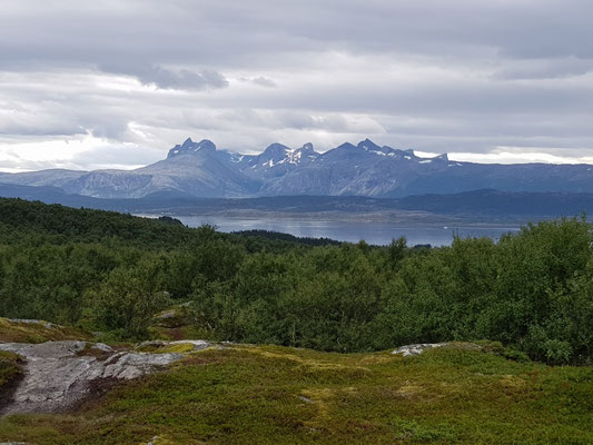 Blick über den Saltfjorden nach Süden